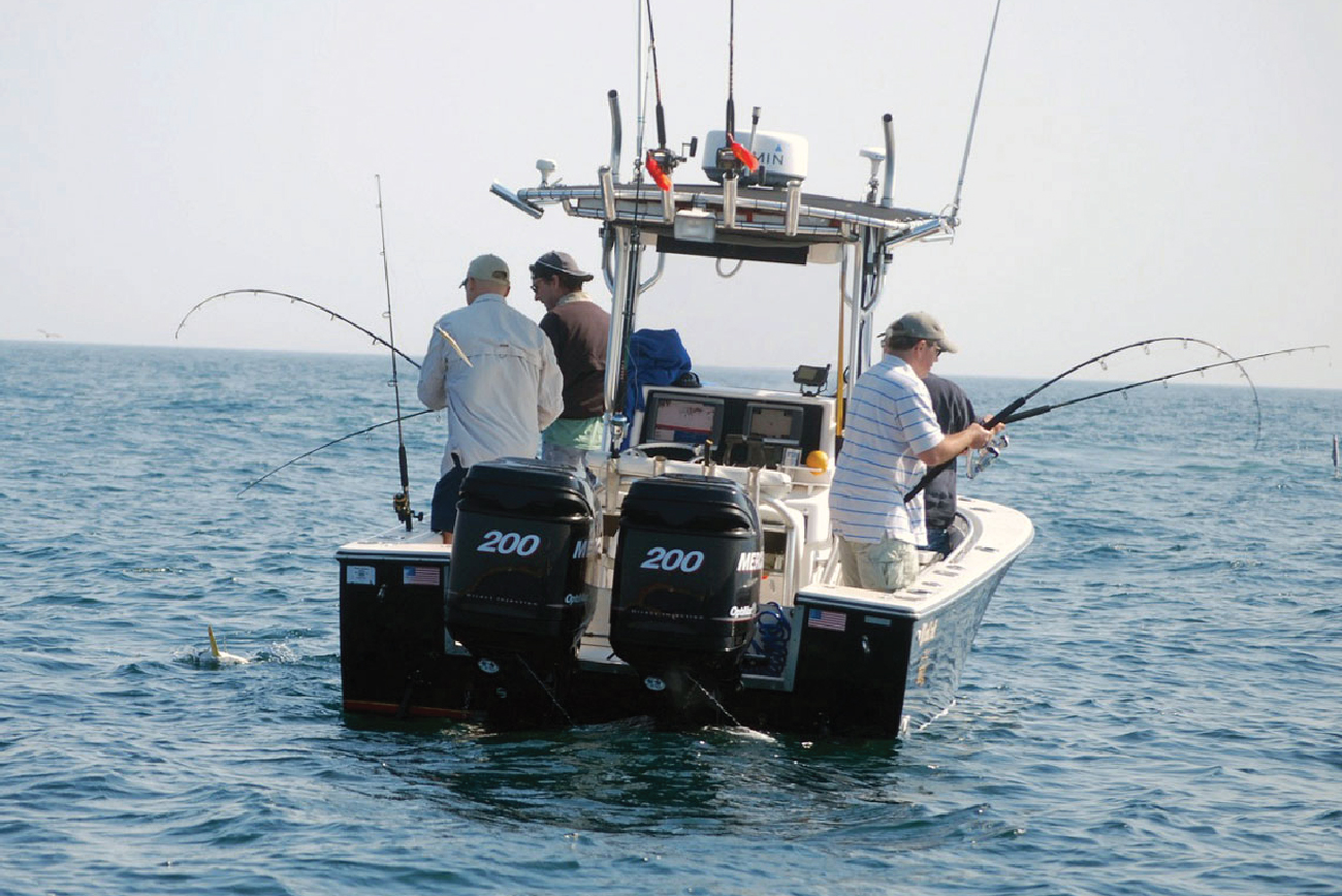 Fishing action on the Arabian Gulf
